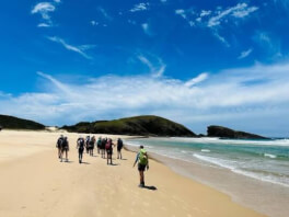 Positive Energy Adventures & Retreats